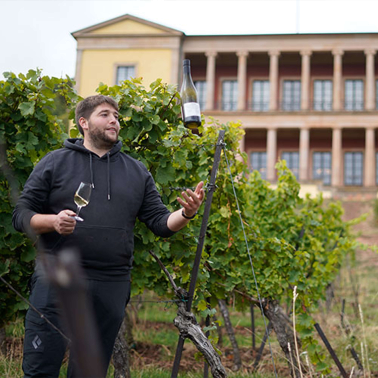 Grauburgunder & Weißburgunder »Villa Pfalz«